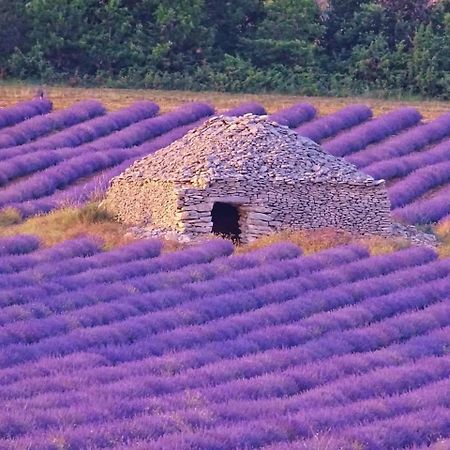 Entre Ventoux Et Luberon Chambre D'Hote Sault-de-Vaucluse Dış mekan fotoğraf