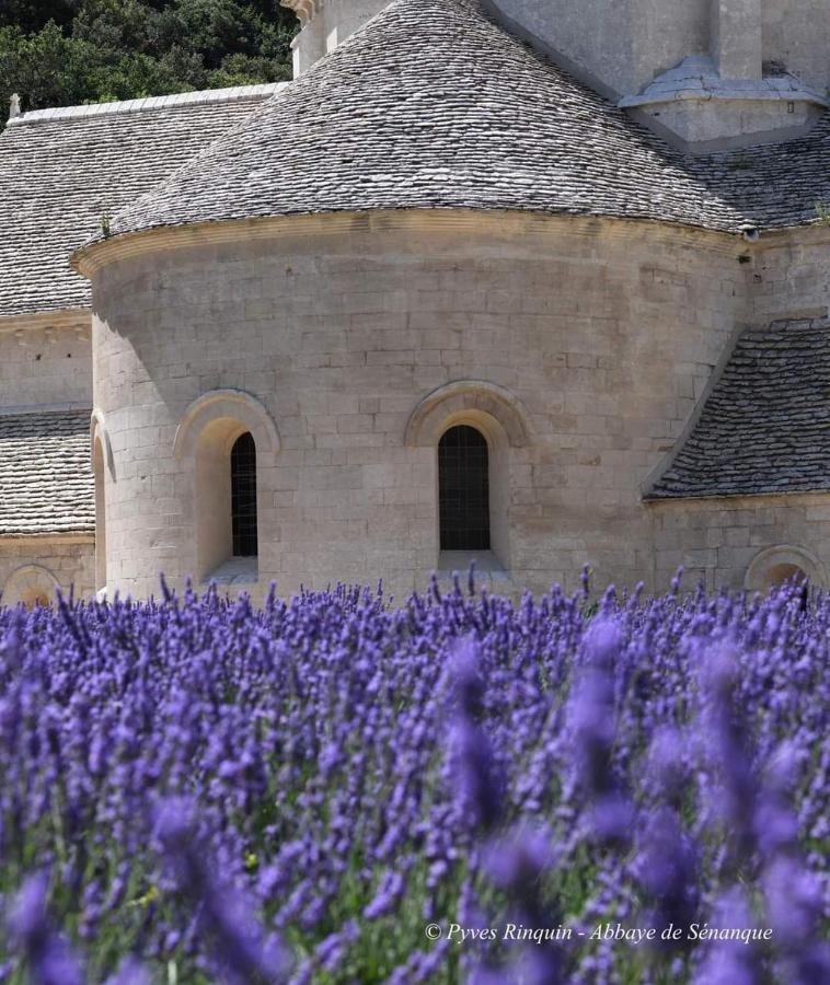 Entre Ventoux Et Luberon Chambre D'Hote Sault-de-Vaucluse Dış mekan fotoğraf